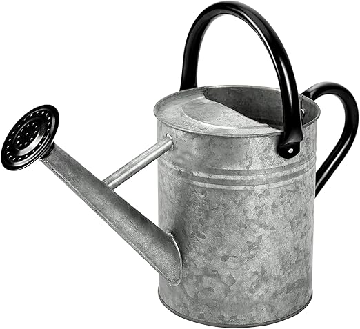 1 Gallon Vintage Galvanized Watering Can with Long Spout and Dual Handles – Large Metal Garden Watering Pot