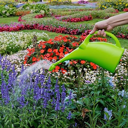 1/2 Gallon Plastic Watering Can with Removable Sprinkler Head – Long Spout Design for Indoor & Outdoor Plants (13" × 7")