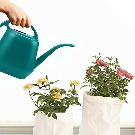 Green Plastic Watering Can with Long Spout and Dual Handles – Indoor & Outdoor Garden Use