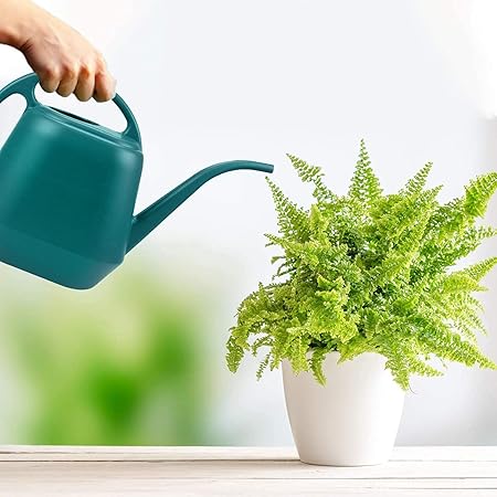 Green Plastic Watering Can with Long Spout and Dual Handles – Indoor & Outdoor Garden Use