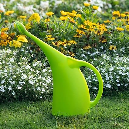 1/2 Gallon Plastic Watering Can with Removable Sprinkler Head – Long Spout Design for Indoor & Outdoor Plants (13" × 7")