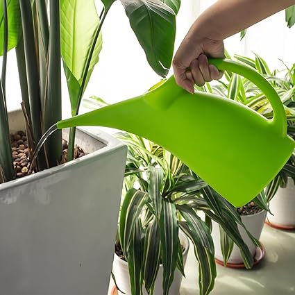 1/2 Gallon Plastic Watering Can with Removable Sprinkler Head – Long Spout Design for Indoor & Outdoor Plants (13" × 7")