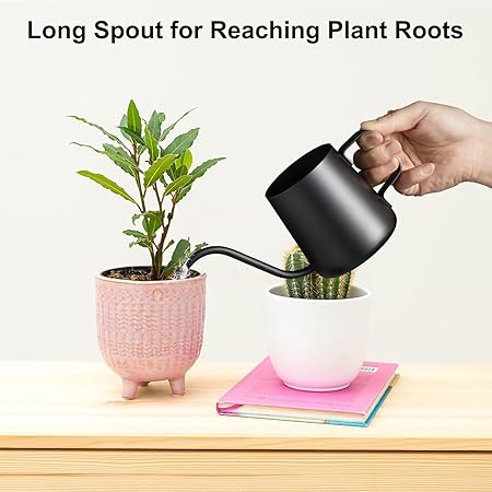 Minimalist Black Long - Spout Watering Can, Gardening Watering Pot for Succulents, Exquisite Green Plant Care Tool
