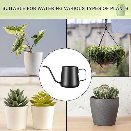 Minimalist Black Long - Spout Watering Can, Gardening Watering Pot for Succulents, Exquisite Green Plant Care Tool