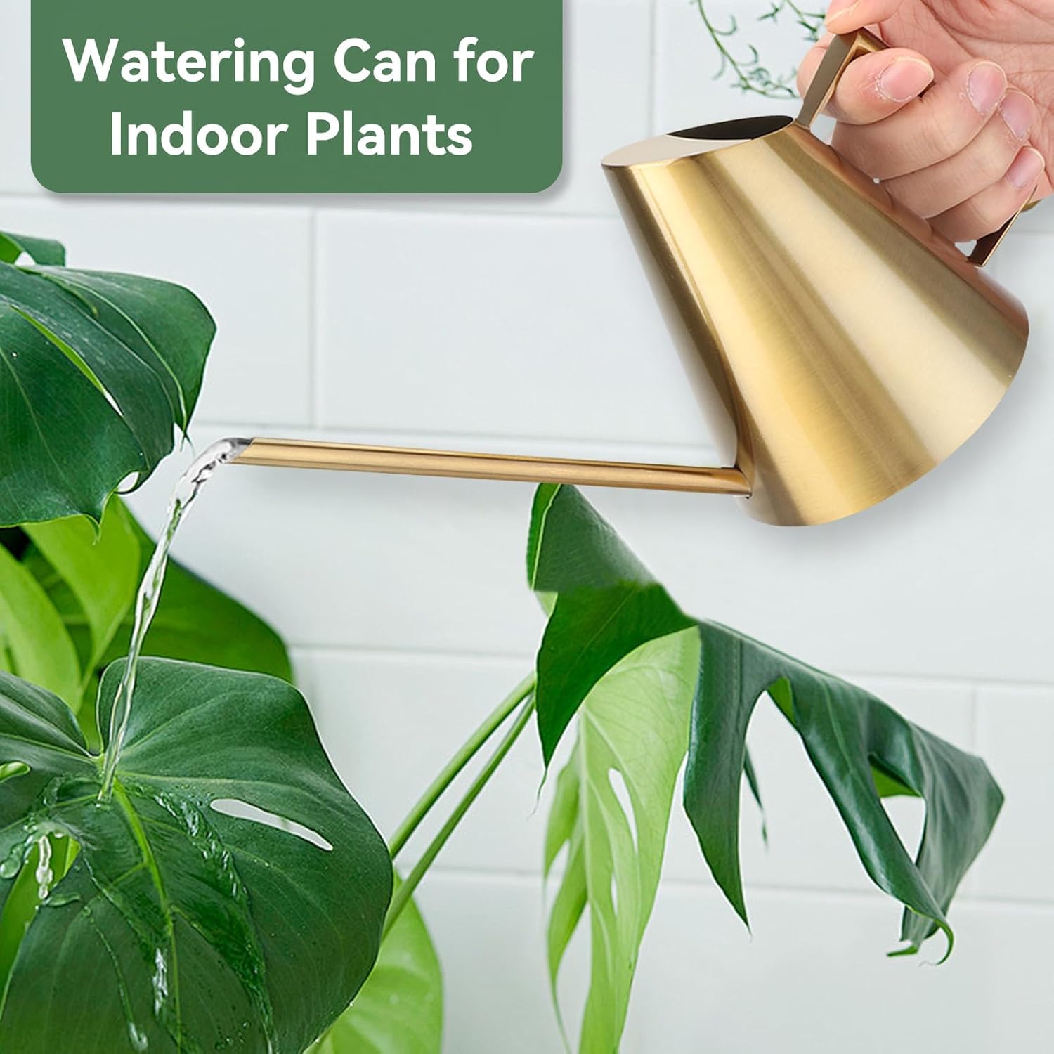 Gold Stainless Steel Long - Spout Watering Can, Exquisite Gardening Watering Tool, Suitable for Succulent Pots