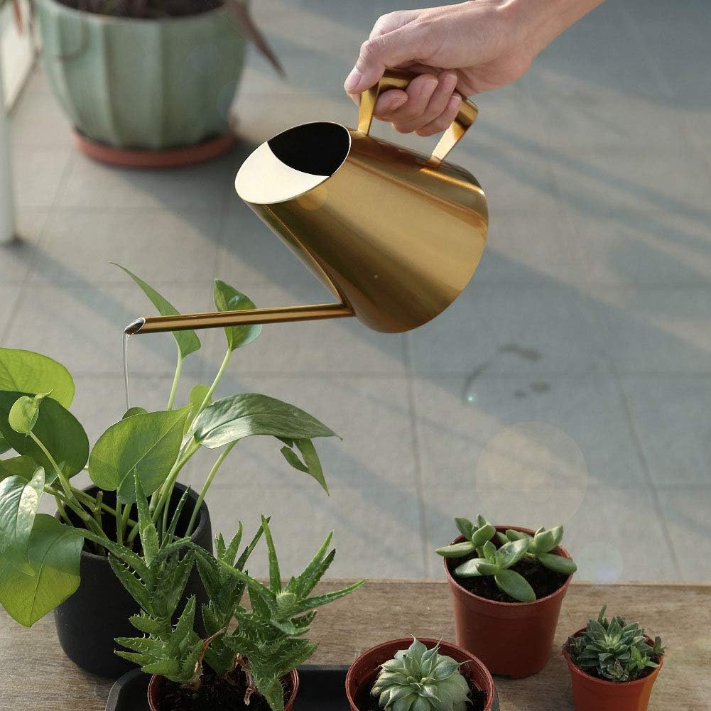 Gold Stainless Steel Long - Spout Watering Can, Exquisite Gardening Watering Tool, Suitable for Succulent Pots