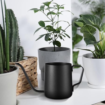 Minimalist Black Long - Spout Watering Can, Indoor Gardening Green Plant Watering Tool,  Precision Watering Pot for Succulent Pots