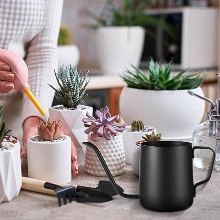 Minimalist Black Long - Spout Watering Can, Indoor Gardening Green Plant Watering Tool,  Precision Watering Pot for Succulent Pots