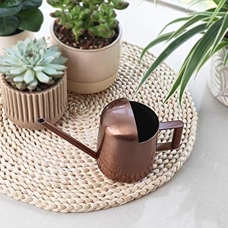 Bronze - Colored Stainless Steel Long - Spout Watering Can, Exquisite Gardening Watering Tool, Multi - Dimensional Size Adaptation