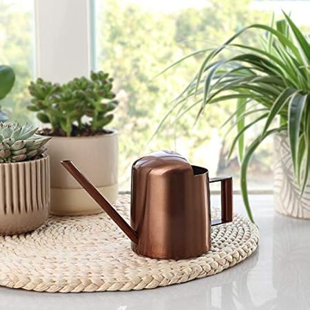 Bronze - Colored Stainless Steel Long - Spout Watering Can, Exquisite Gardening Watering Tool, Multi - Dimensional Size Adaptation