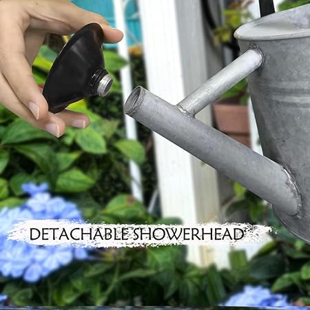 1 Gallon Vintage Galvanized Watering Can with Long Spout and Dual Handles – Large Metal Garden Watering Pot