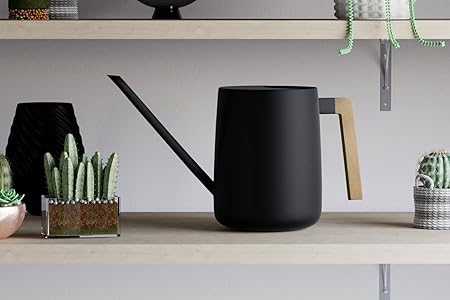 35 oz Modern Watering Can with Long Spout and Wooden-Style Handle – Minimalist Indoor Plant Watering Pot