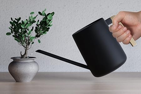 35 oz Modern Watering Can with Long Spout and Wooden-Style Handle – Minimalist Indoor Plant Watering Pot